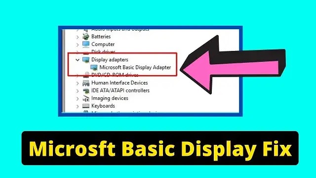 Microsoft Basic Display Adapter